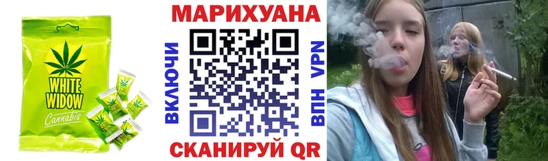 Купить закладки  Гусиноозёрск  Canna-Cookies марихуана 