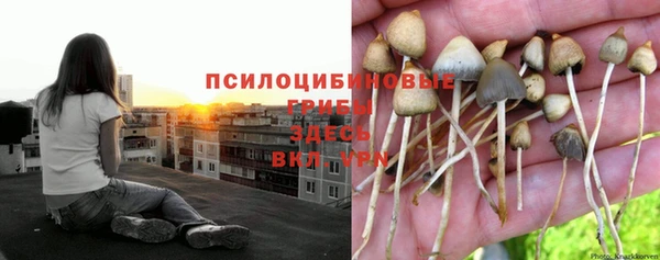2c-b Балабаново