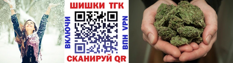 Купить где  Гусиноозёрск  Каннабис индика 